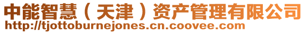 中能智慧(天津)資產管理有限公司