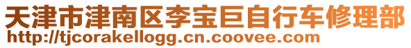 天津市津南區(qū)李寶巨自行車修理部