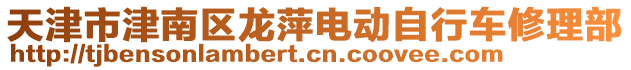 天津市津南區(qū)龍萍電動自行車修理部