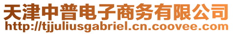 天津中普電子商務有限公司