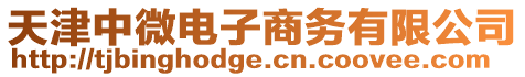 天津中微電子商務(wù)有限公司