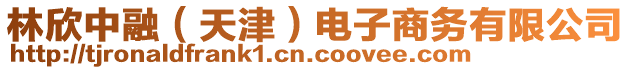林欣中融(天津)電子商務有限公司
