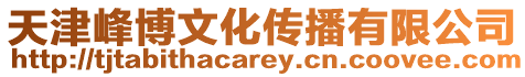 天津峰博文化傳播有限公司