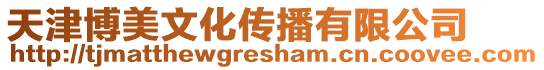 天津博美文化傳播有限公司