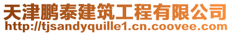 天津鵬泰建筑工程有限公司