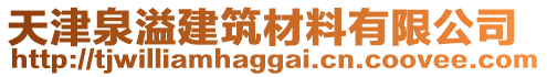 天津泉溢建筑材料有限公司