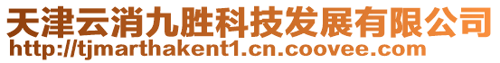 天津云消九勝科技發(fā)展有限公司