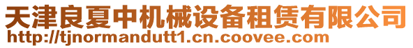 天津良夏中機械設備租賃有限公司