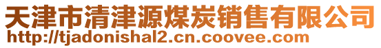 天津市清津源煤炭銷售有限公司