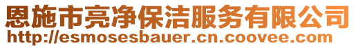 恩施市亮凈保潔服務(wù)有限公司