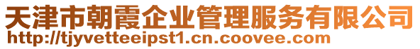 天津市朝霞企業(yè)管理服務(wù)有限公司