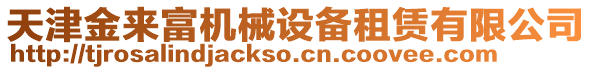 天津金來(lái)富機(jī)械設(shè)備租賃有限公司