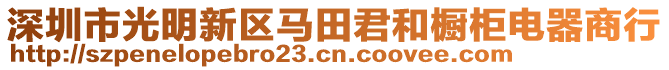 深圳市光明新區(qū)馬田君和櫥柜電器商行