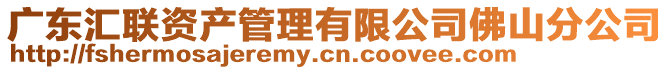 廣東匯聯(lián)資產(chǎn)管理有限公司佛山分公司