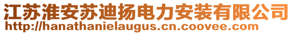 江蘇淮安蘇迪揚電力安裝有限公司
