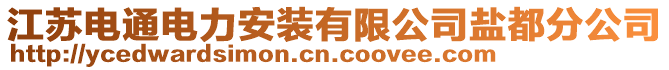 江蘇電通電力安裝有限公司鹽都分公司