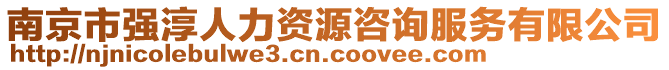 南京市強(qiáng)淳人力資源咨詢服務(wù)有限公司