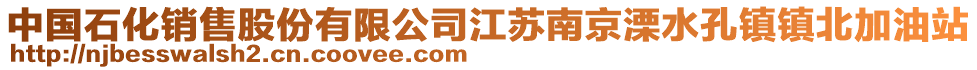 中國石化銷售股份有限公司江蘇南京溧水孔鎮(zhèn)鎮(zhèn)北加油站