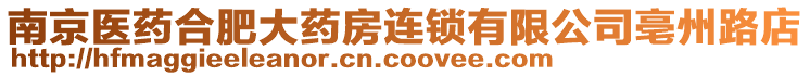 南京醫藥合肥大藥房連鎖有限公司亳州路店