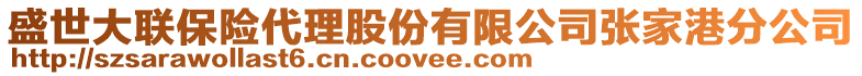 盛世大聯(lián)保險(xiǎn)代理股份有限公司張家港分公司