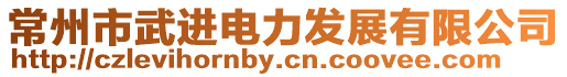 常州市武進電力發展有限公司