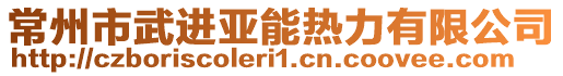 常州市武進亞能熱力有限公司