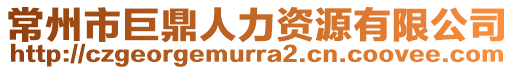 常州市巨鼎人力資源有限公司