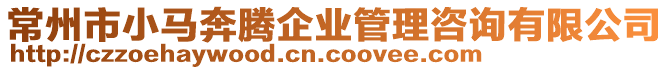 常州市小馬奔騰企業管理咨詢有限公司