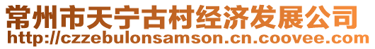 常州市天寧古村經濟發展公司