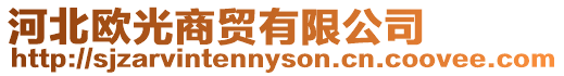 河北歐光商貿(mào)有限公司