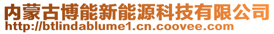 內(nèi)蒙古博能新能源科技有限公司