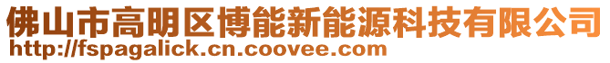 佛山市高明區博能新能源科技有限公司