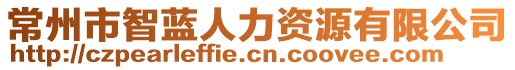 常州市智藍人力資源有限公司