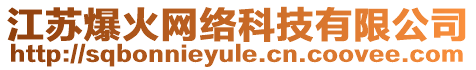 江蘇爆火網絡科技有限公司