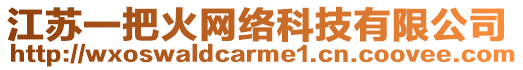江蘇一把火網絡科技有限公司