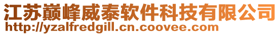 江蘇巔峰威泰軟件科技有限公司