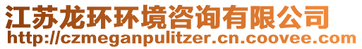 江苏龙环环境咨询有限公司