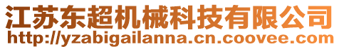 江蘇東超機械科技有限公司