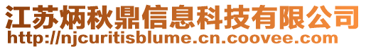 江蘇炳秋鼎信息科技有限公司