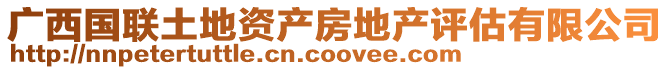 廣西國(guó)聯(lián)土地資產(chǎn)房地產(chǎn)評(píng)估有限公司