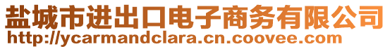 鹽城市進出口電子商務有限公司