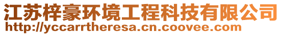 江蘇梓豪環(huán)境工程科技有限公司