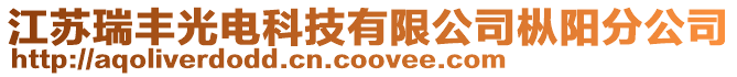 江苏瑞丰光电科技有限公司枞阳分公司