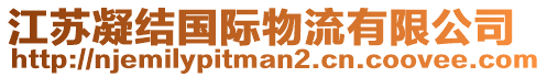 江蘇凝結(jié)國際物流有限公司