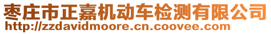 棗莊市正嘉機(jī)動(dòng)車檢測有限公司