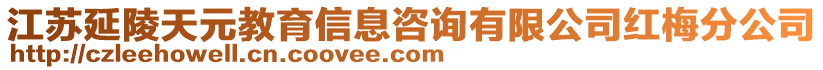 江蘇延陵天元教育信息咨詢有限公司紅梅分公司