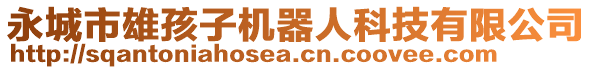 永城市雄孩子機(jī)器人科技有限公司