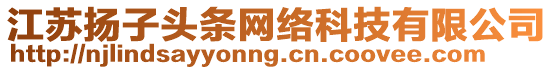 江蘇揚(yáng)子頭條網(wǎng)絡(luò)科技有限公司