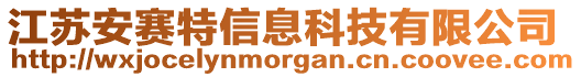 江蘇安賽特信息科技有限公司