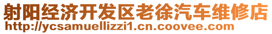 射陽經(jīng)濟(jì)開發(fā)區(qū)老徐汽車維修店